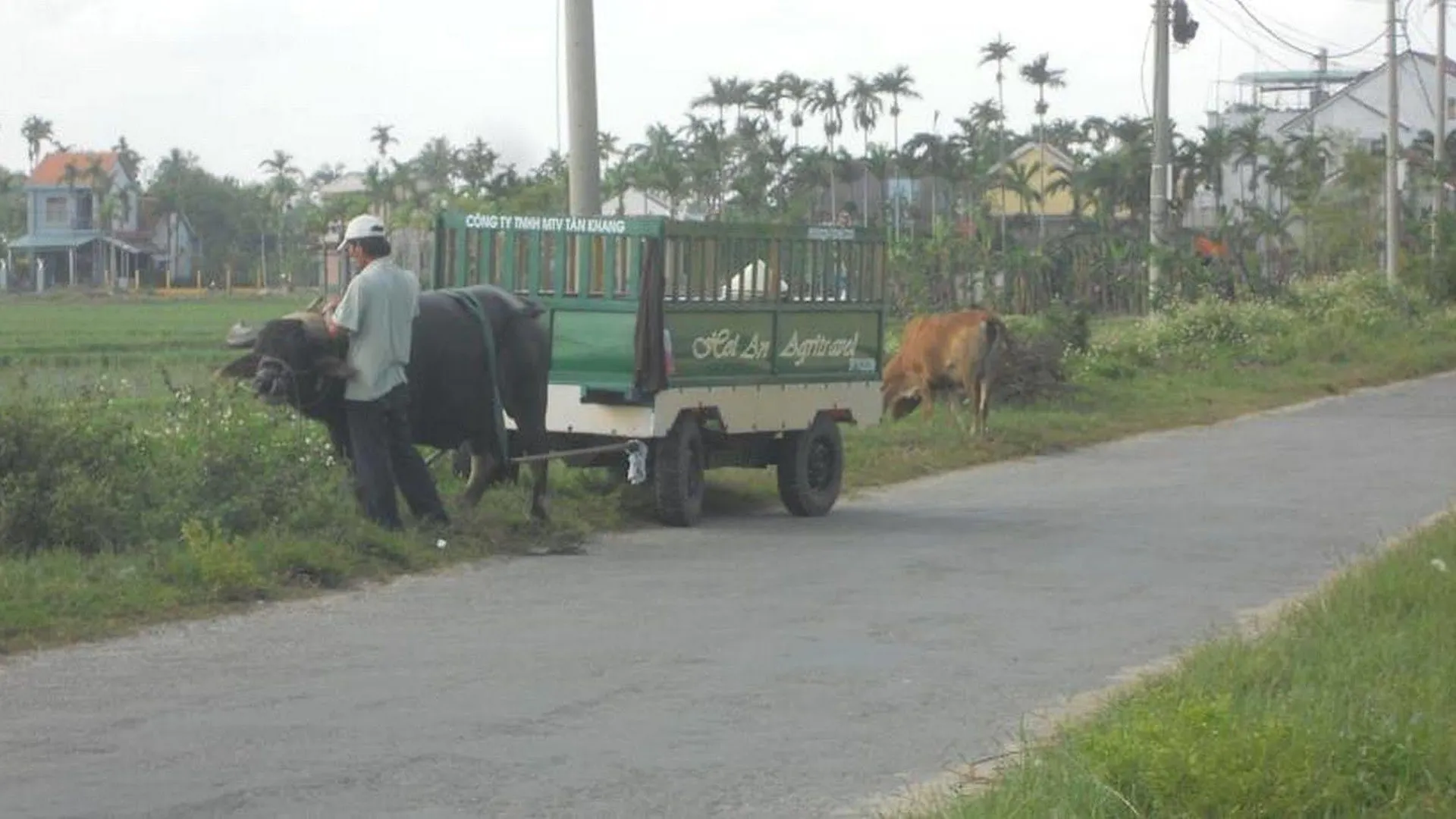 Lila Homestay Hoi An